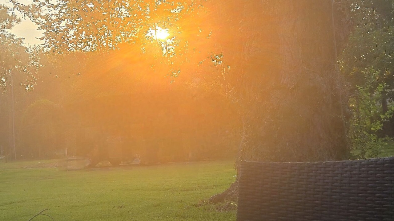 Photo of Outdoor in Alvin