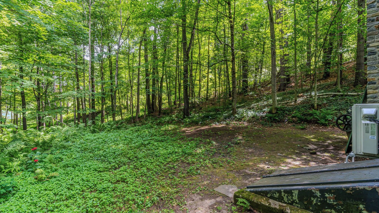 Photo of Outdoor in Woodstock