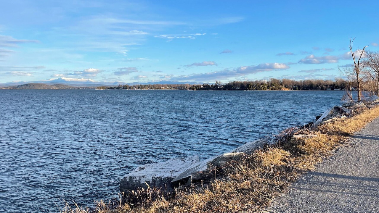 Photo of Others in Malletts Bay