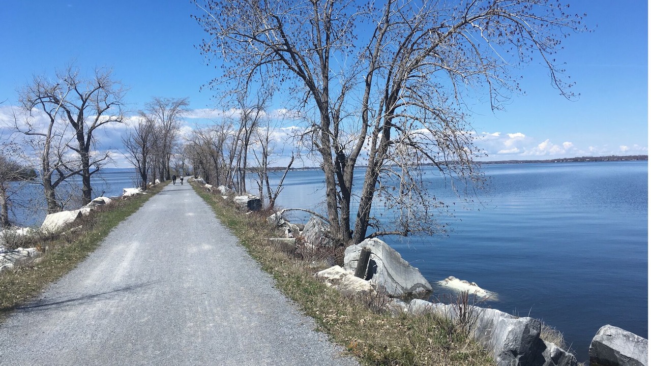 Photo of Others in Malletts Bay