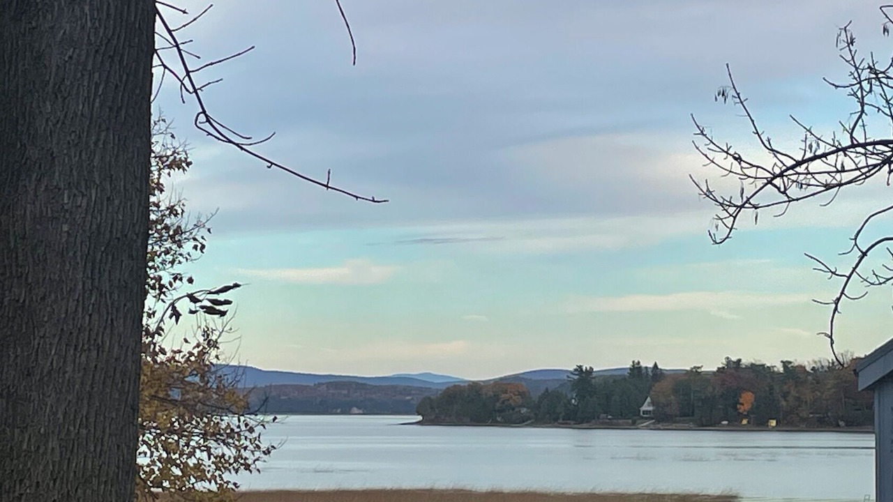 Photo of Others in Malletts Bay