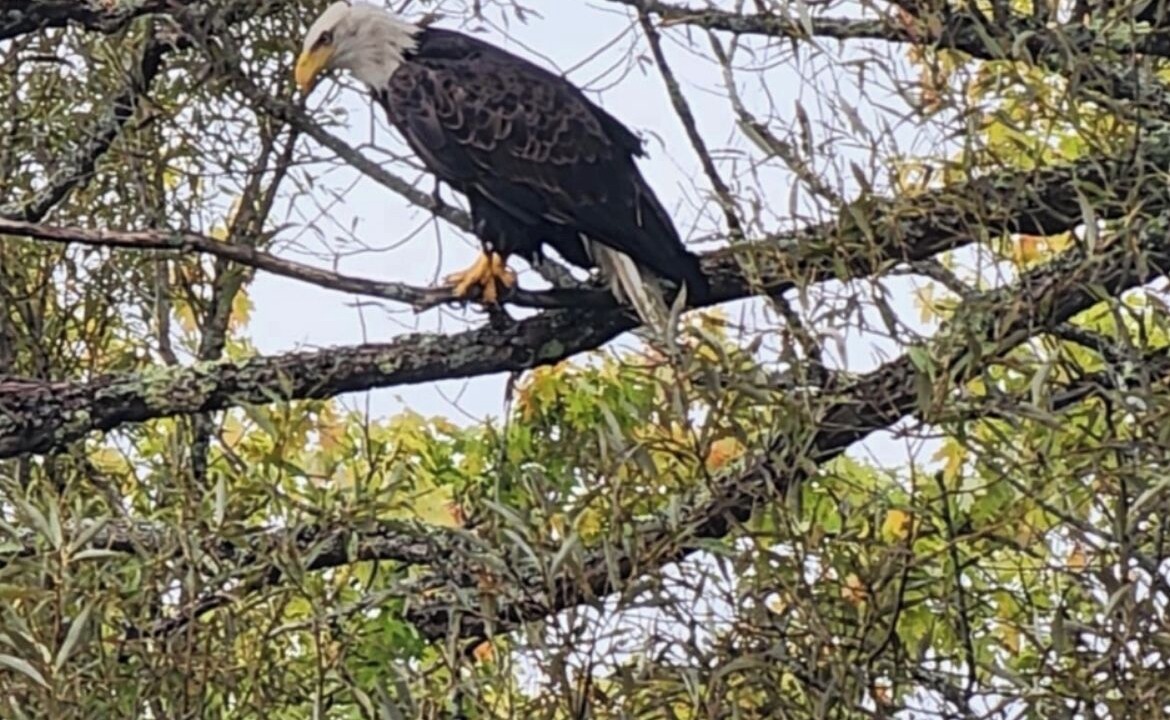 Photo of Others in Fair Haven