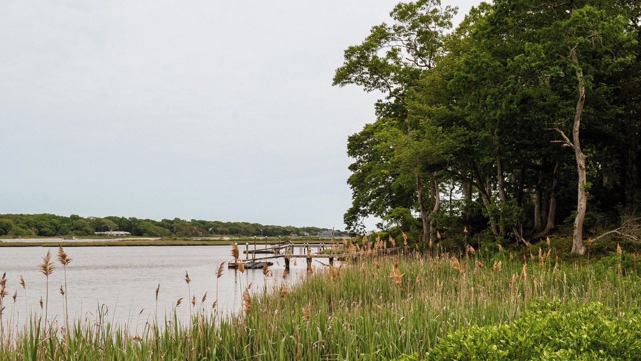 Photo of Others in East Moriches