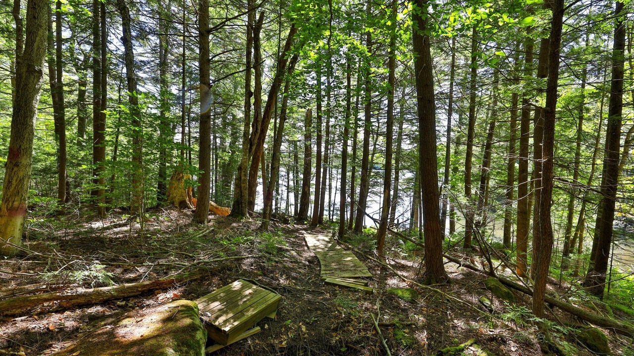 Photo of Others in Killington