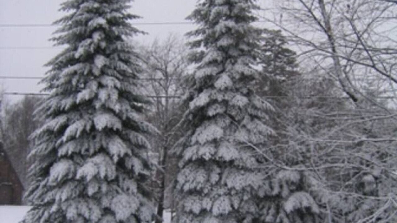 Photo of Others in Killington