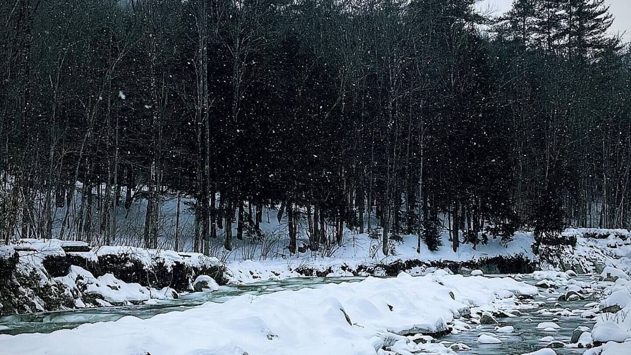 Photo of Others in Wardsboro