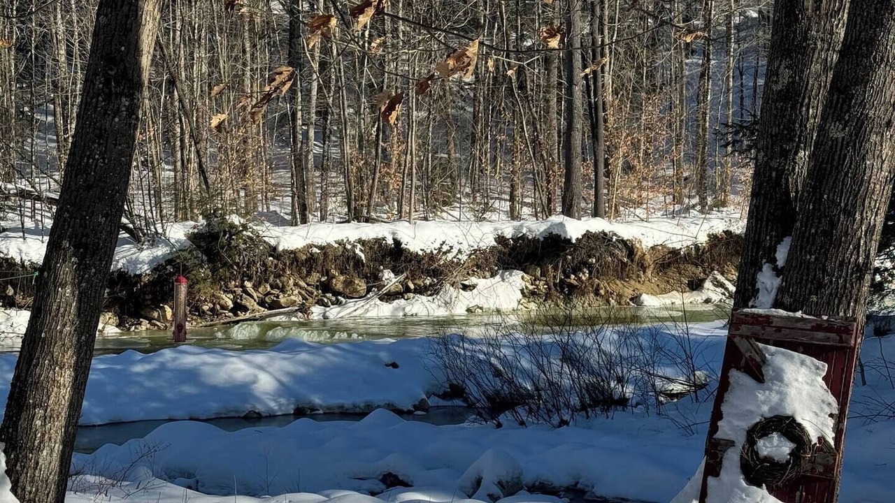 Photo of Others in Wardsboro