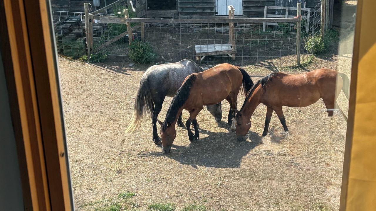 Photo of Others in Town of Fulton