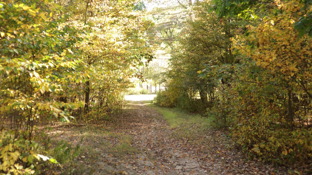 Photo of Others in Port Allegany