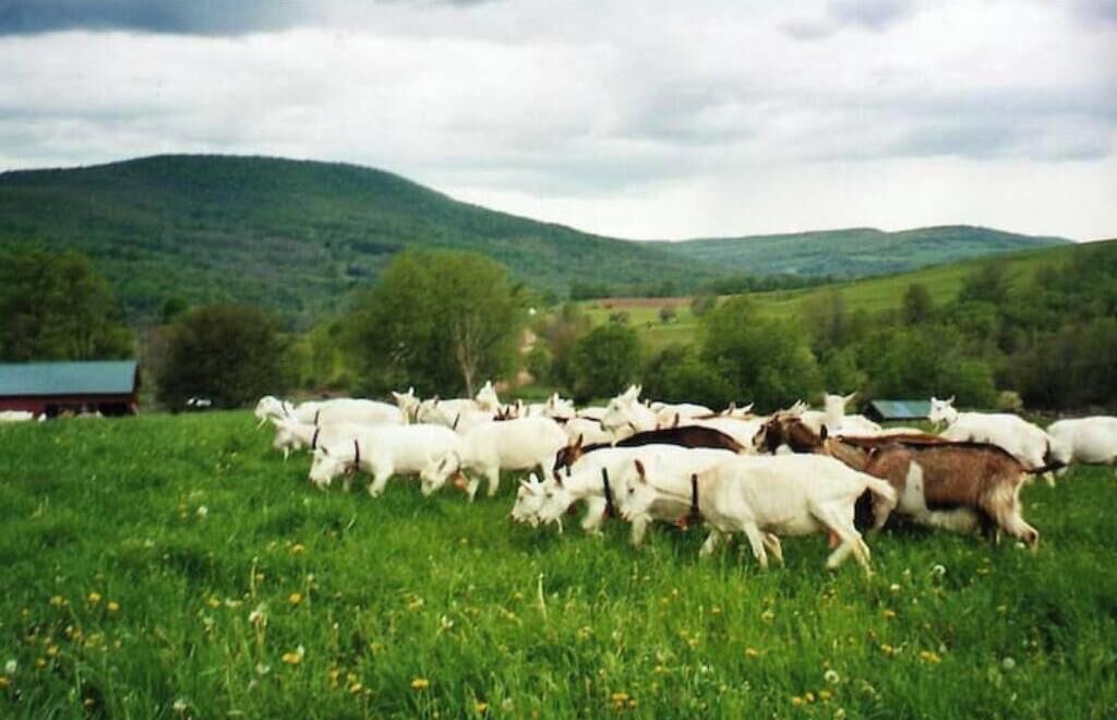 Photo of Others in Meredith