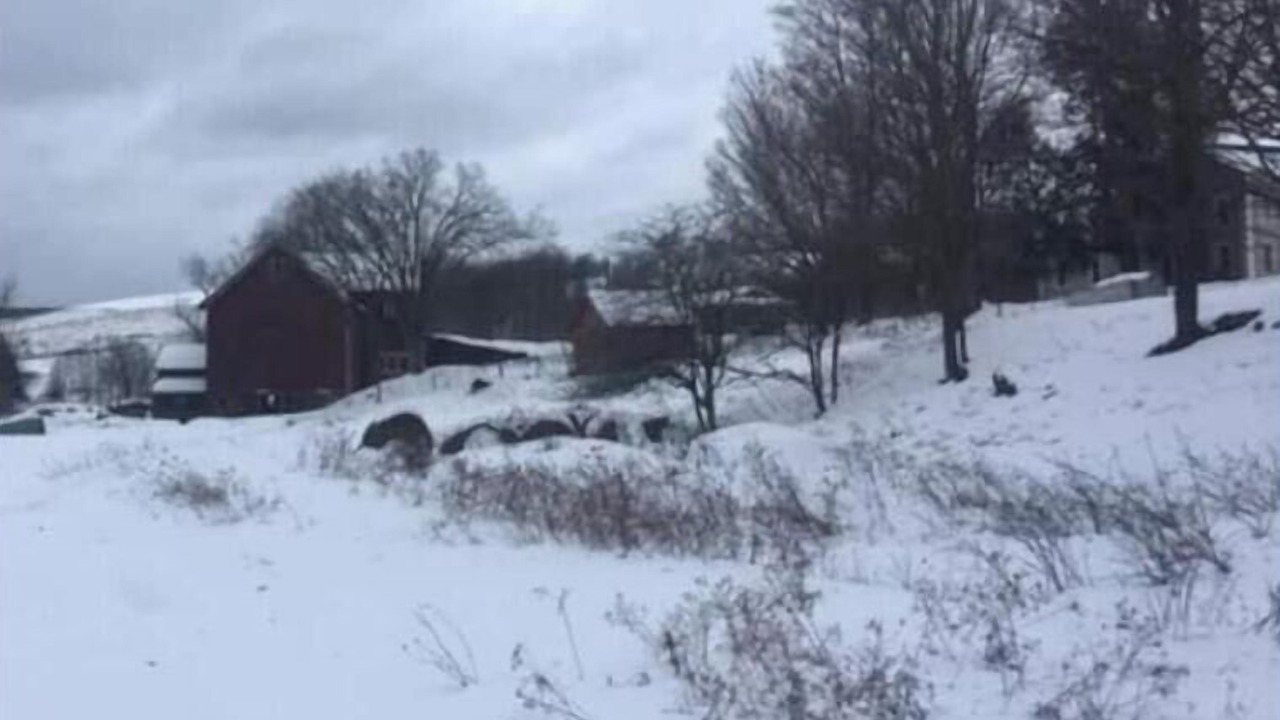 Photo of Outdoor in Meredith
