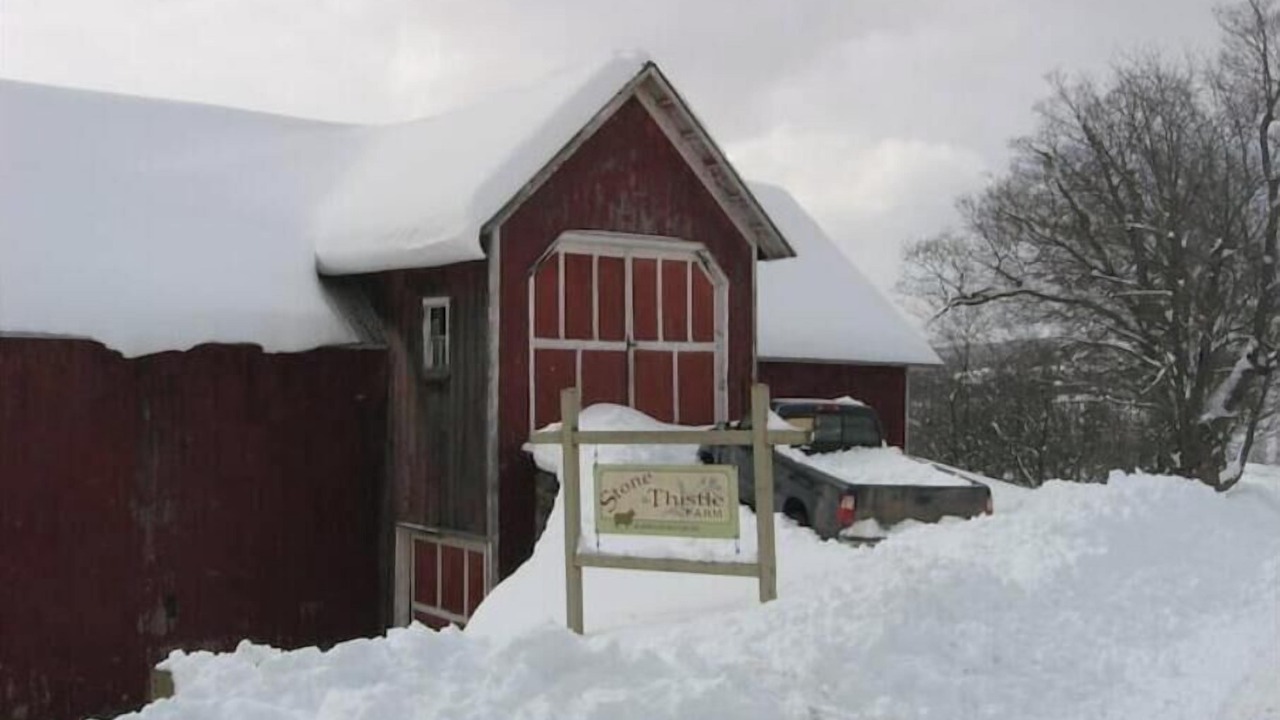 Photo of Outdoor in Meredith
