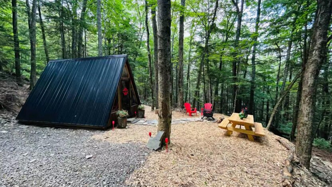 Photo of Outdoor in Sidney
