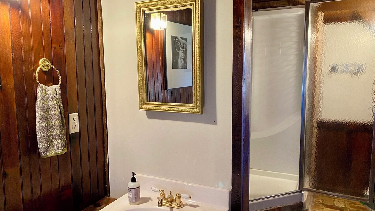 Photo of Bathroom in Hector