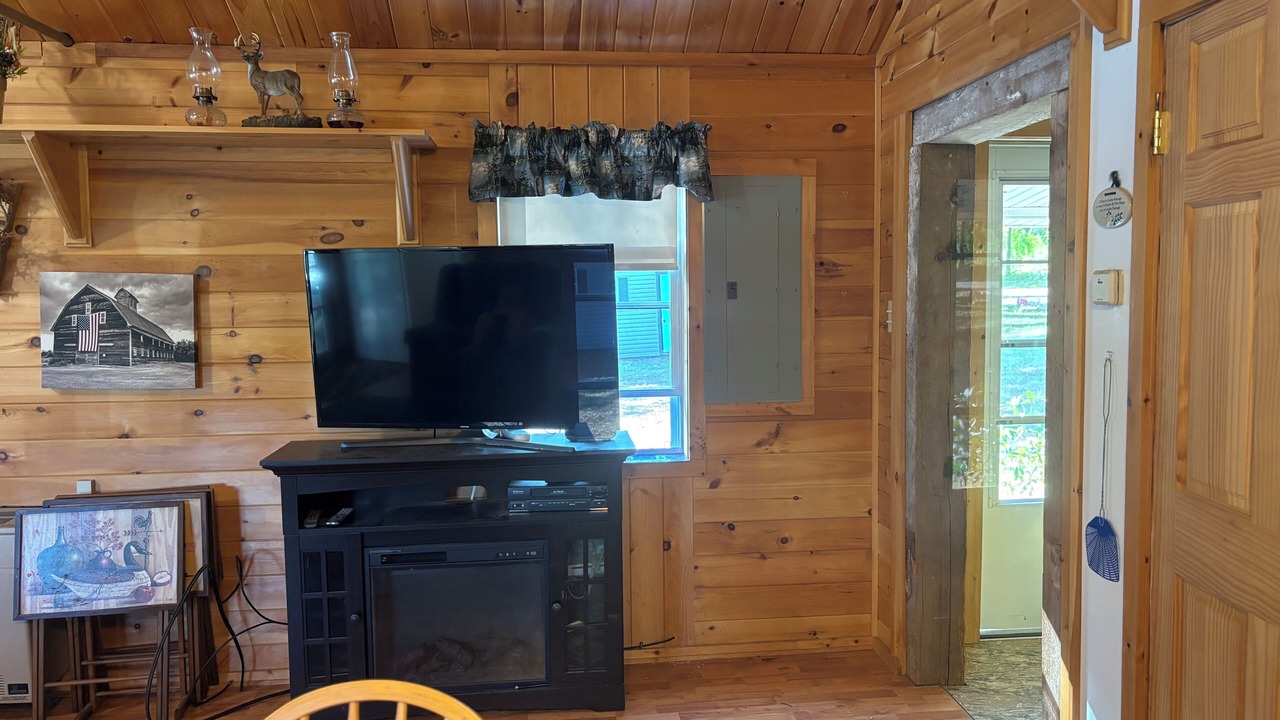 Photo of Livingroom in Ilion