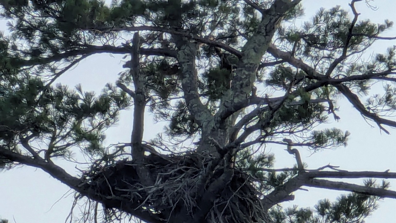 Photo of Others in Bridgton