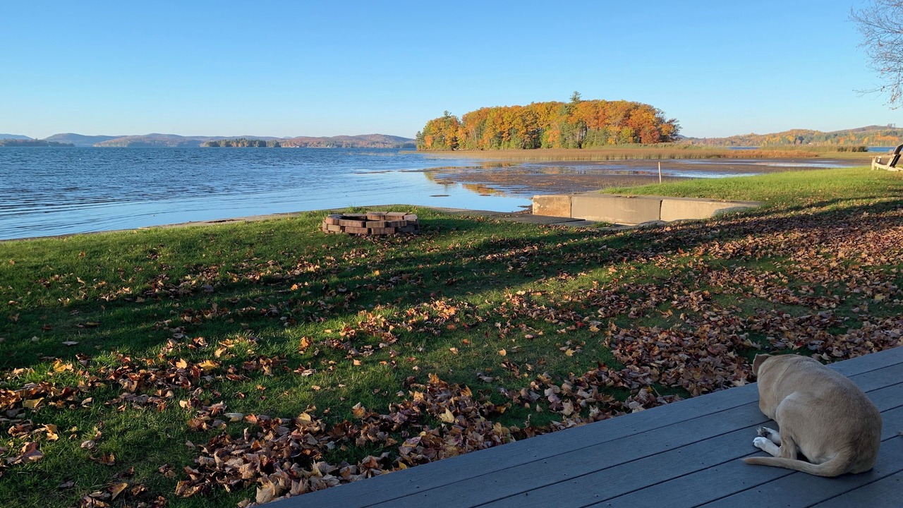 Photo of Outdoor in Newport