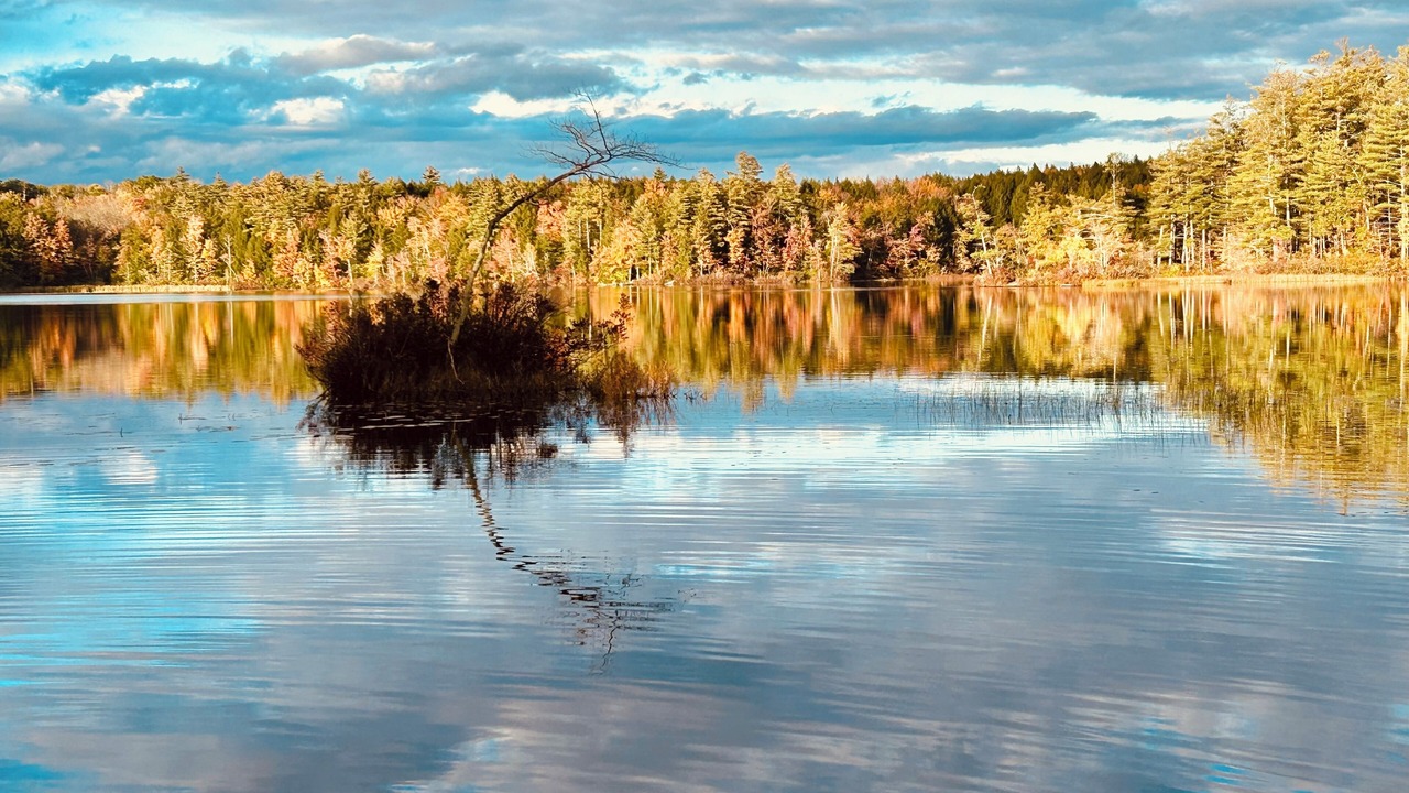 Photo of Others in Center Harbor