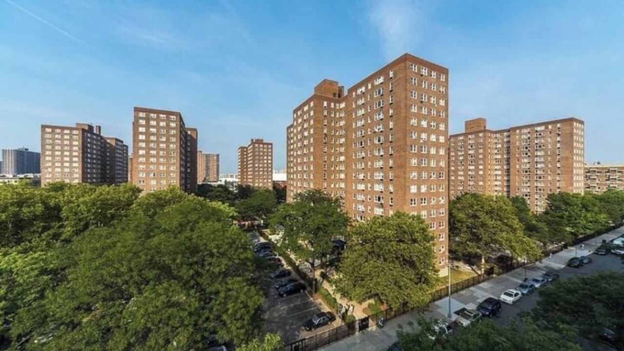 Photo of Outdoor in Harlem