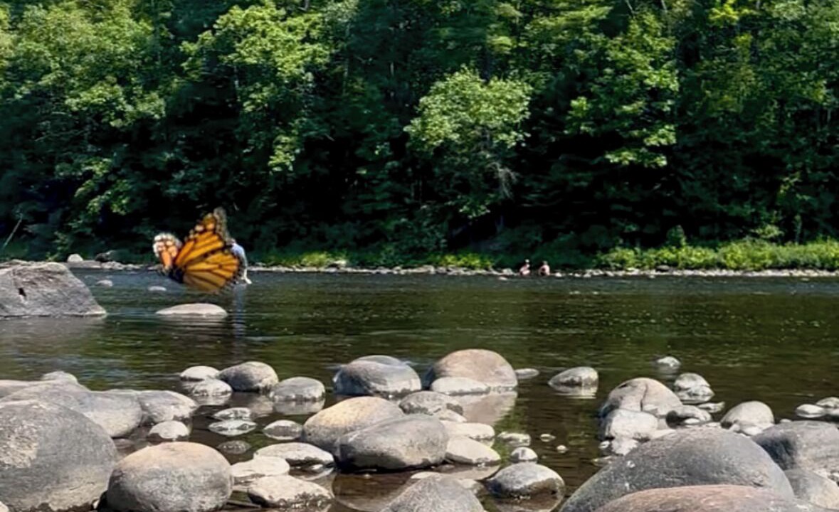 Photo of Others in North Creek