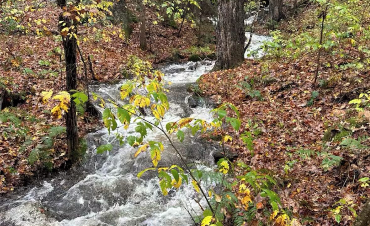 Photo of Others in North Creek