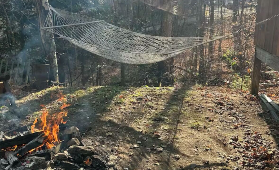 Photo of Others in North Creek