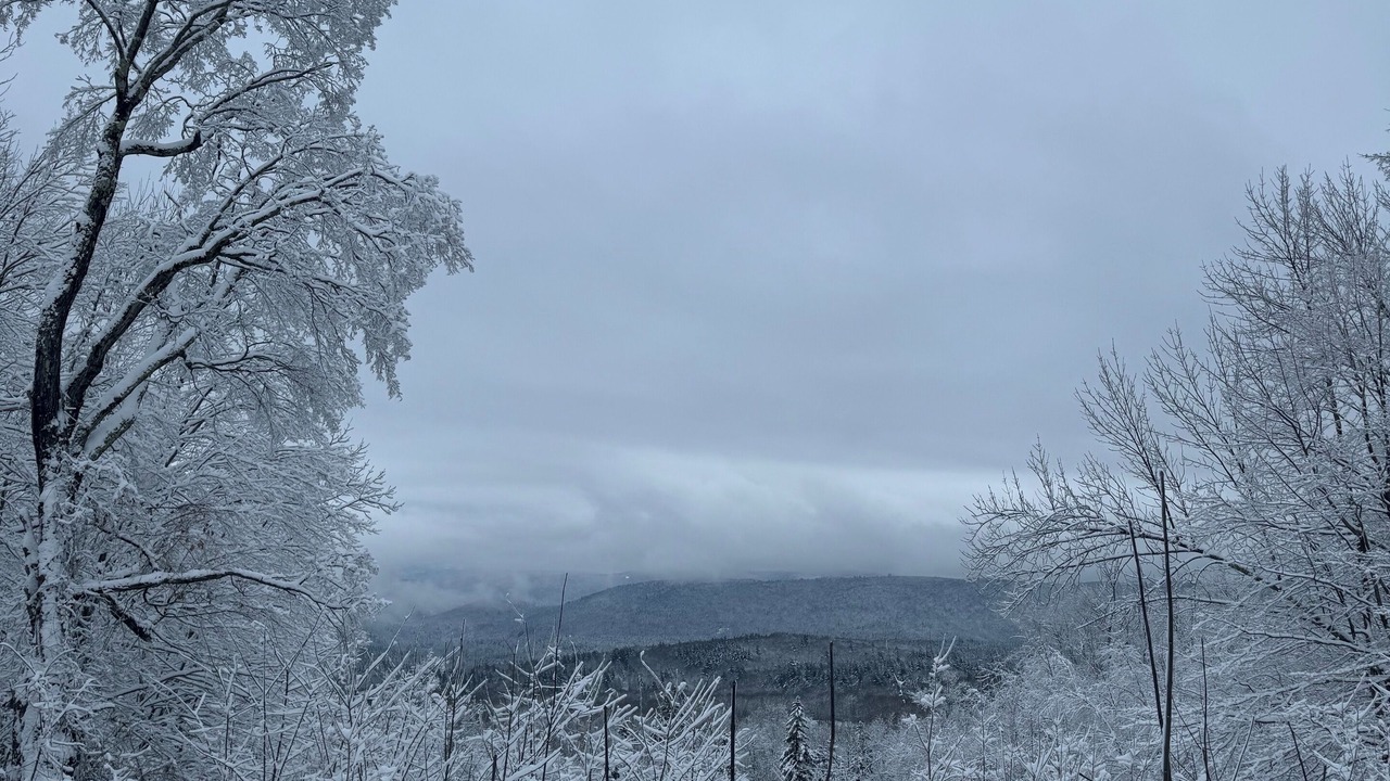 Photo of Outdoor in West Dover