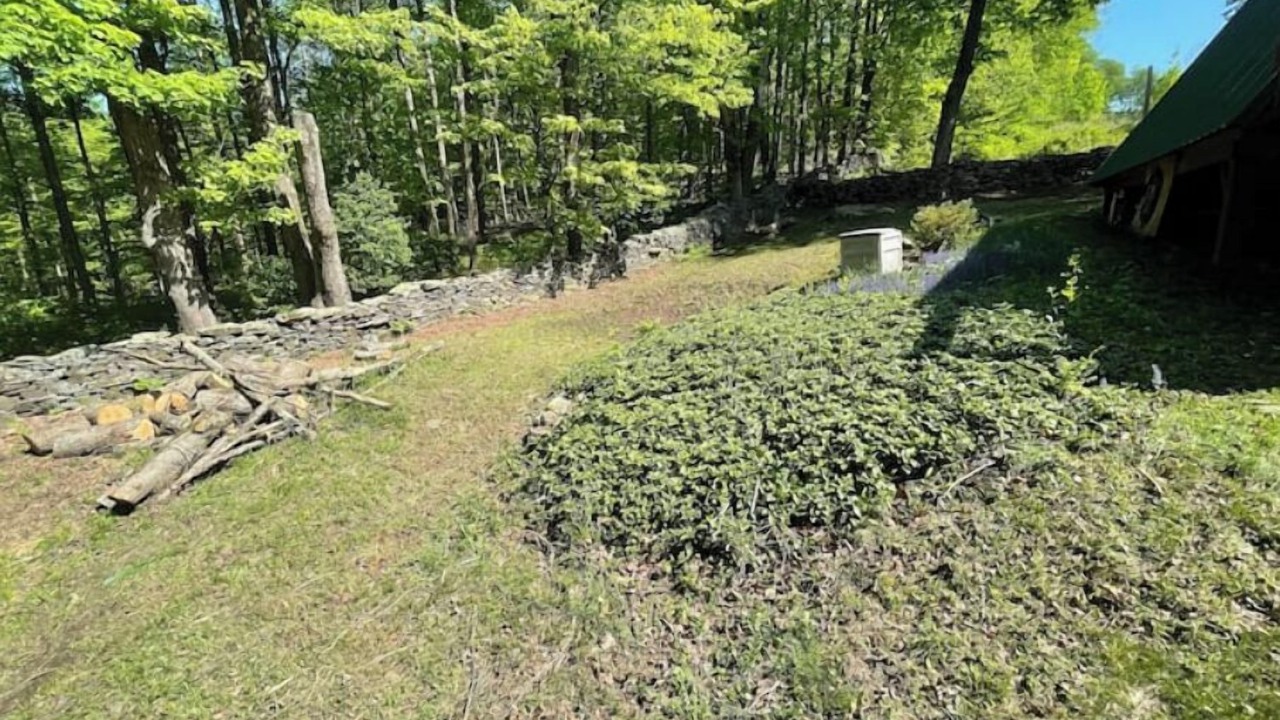 Photo of Outdoor in Susquehanna