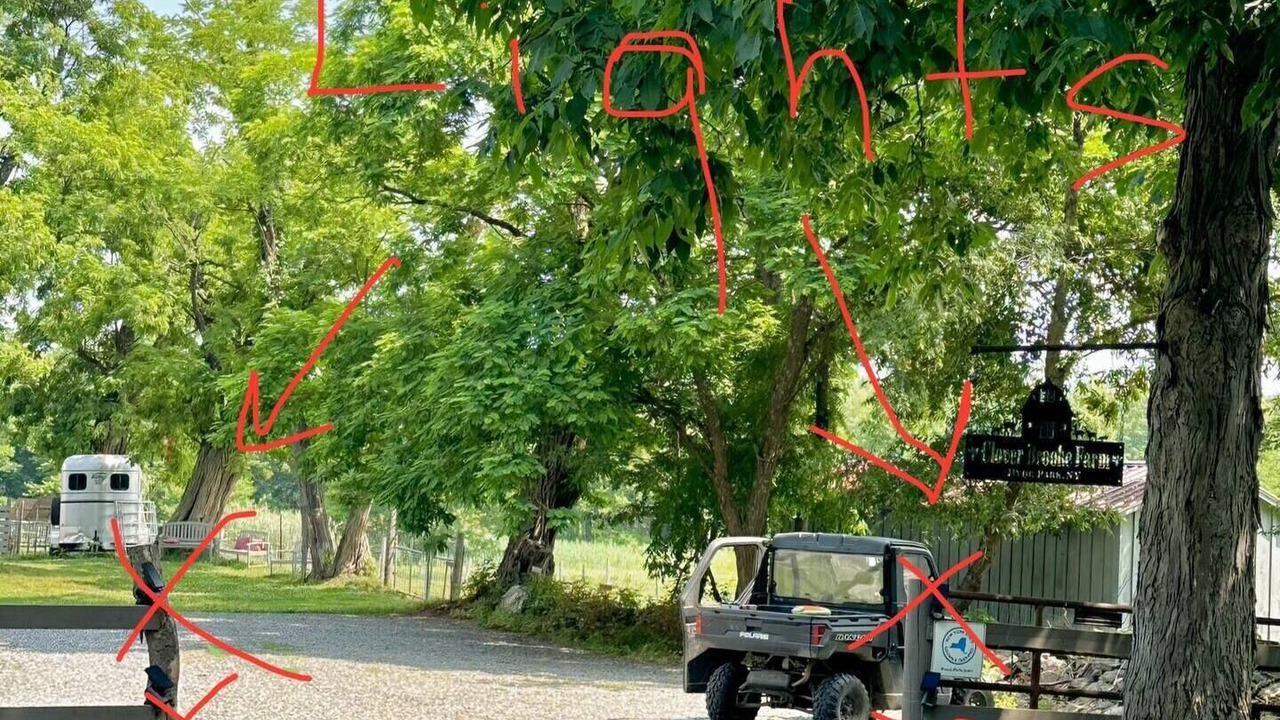 Photo of Outdoor in Hyde Park