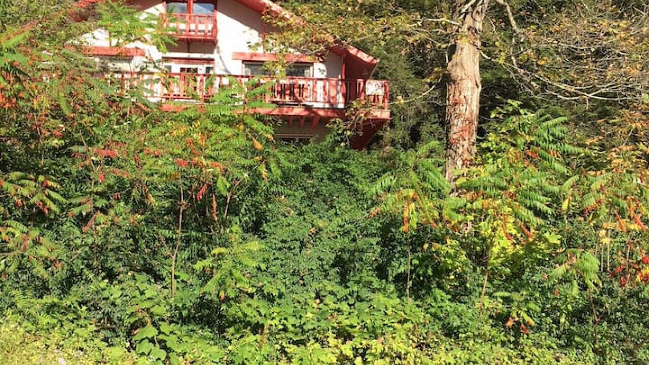 Photo of Outdoor in Shandaken
