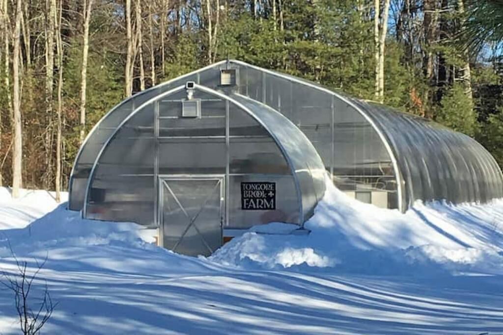 Photo of Outdoor in Stone Ridge