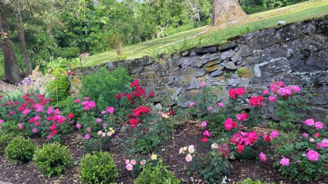 Photo of Outdoor in Hopewell Junction