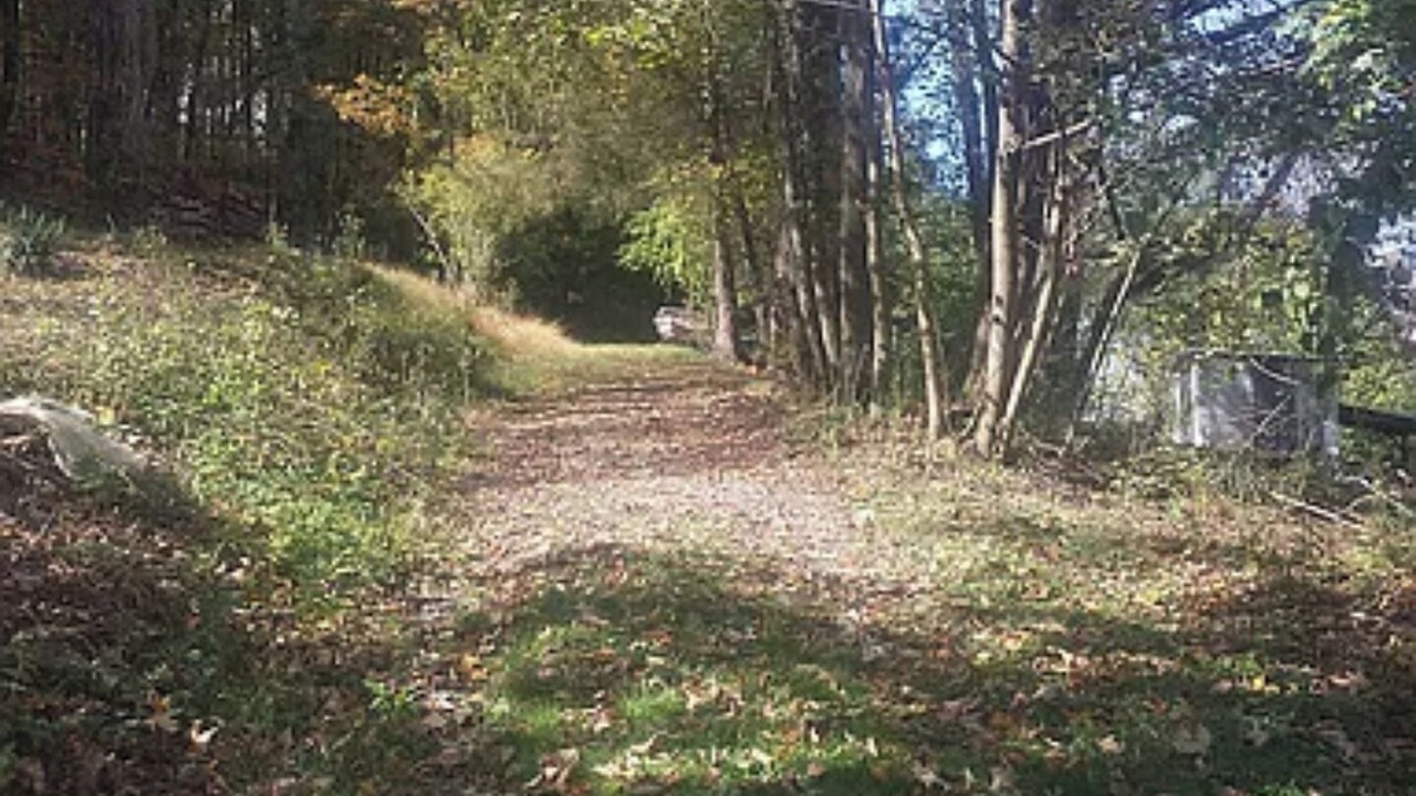 Photo of Outdoor in Grafton
