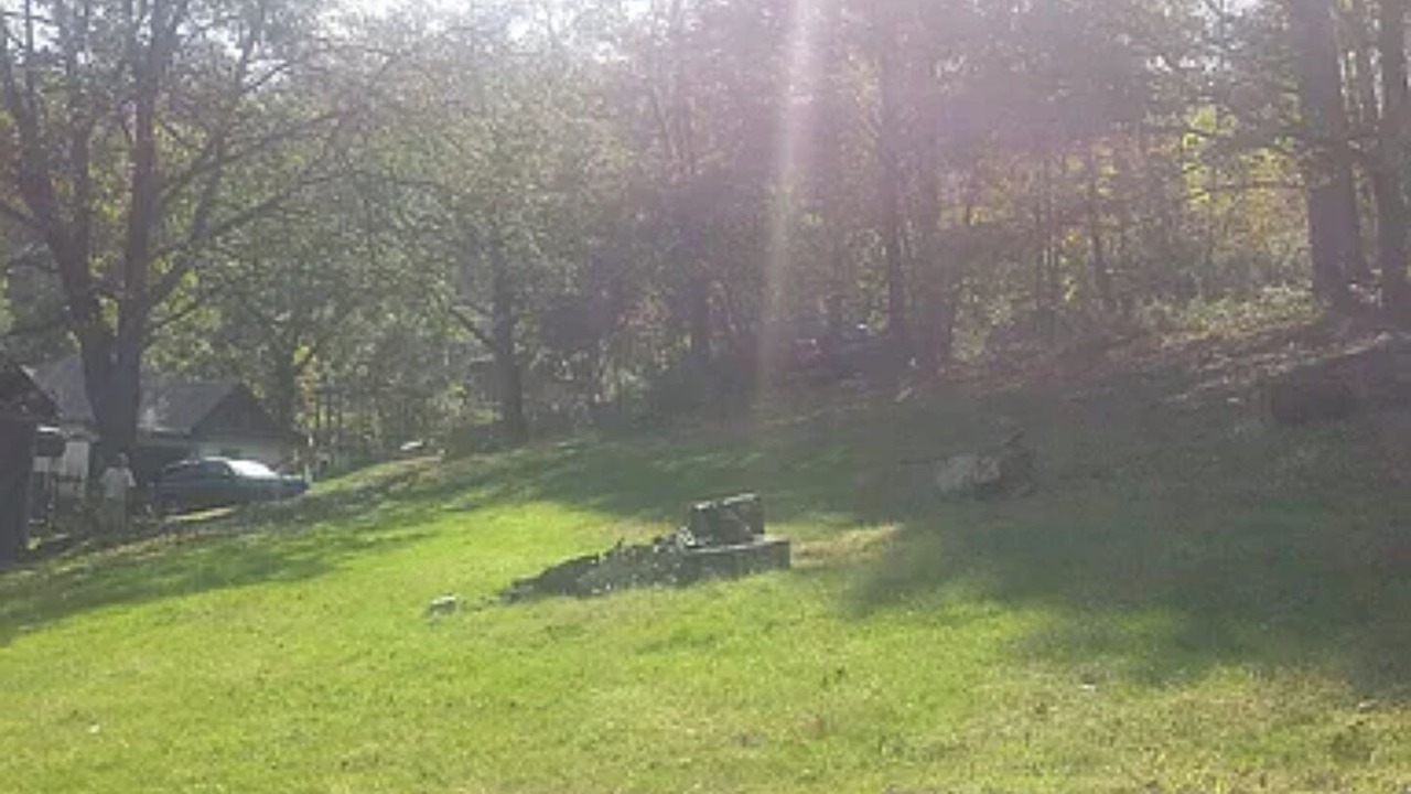 Photo of Others in Grafton
