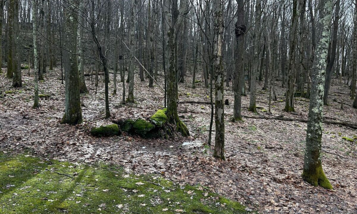 Photo of Others in Alpine Lake