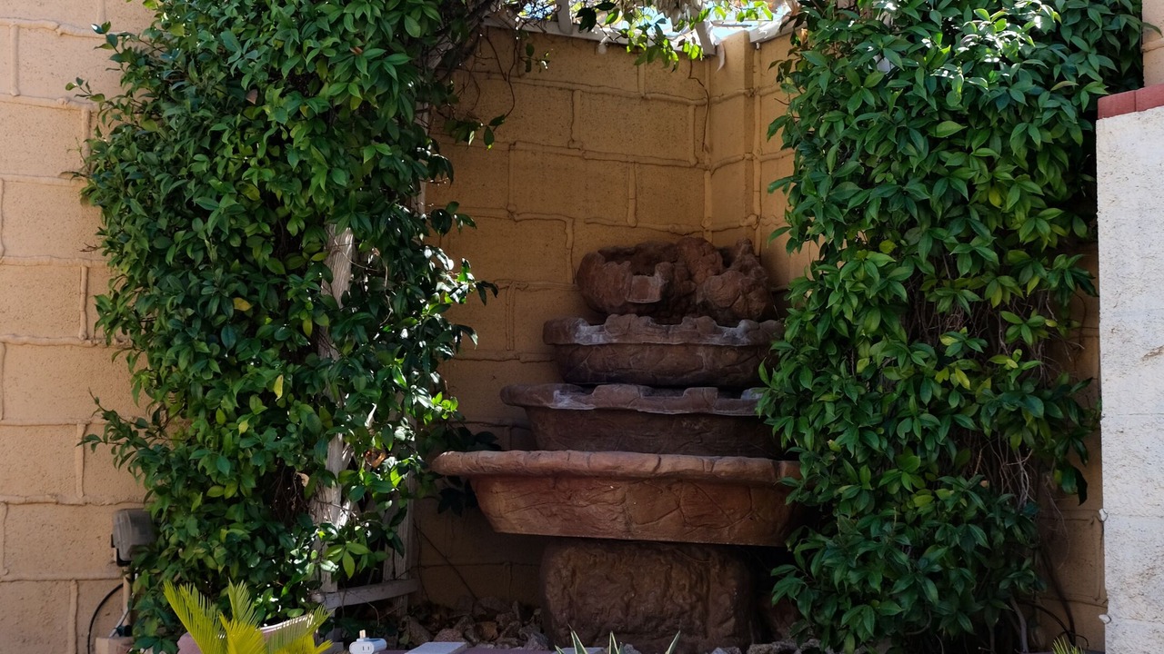Photo of Outdoor in Silverado Ranch