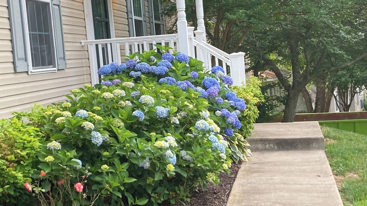 Photo of Outdoor in Bennsville