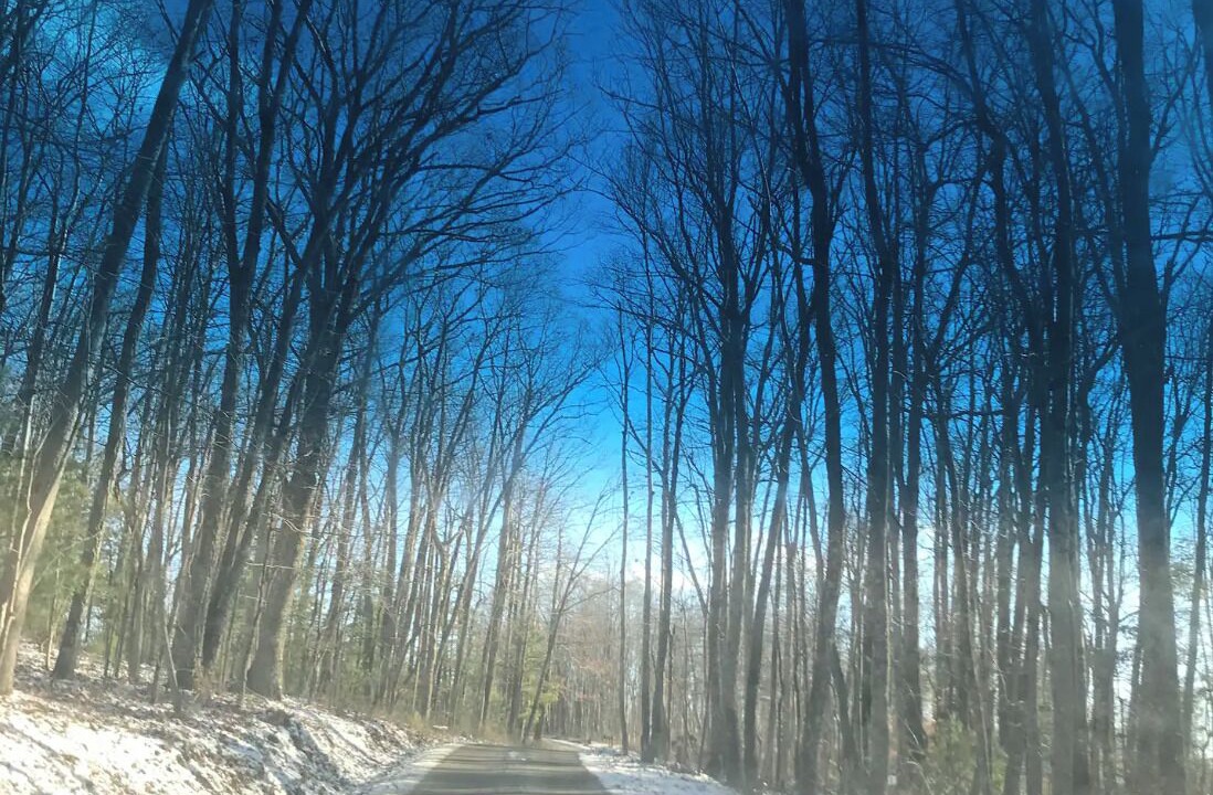 Photo of Others in Cool Ridge