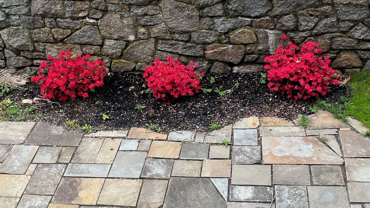 Photo of Outdoor in Magnolia