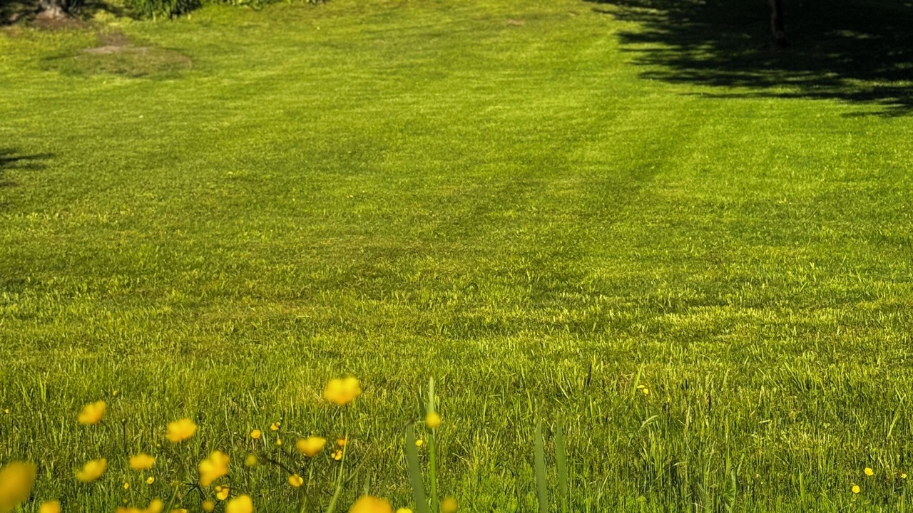 Photo of Outdoor in Plainfield