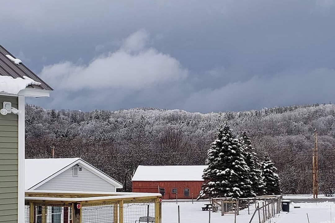 Photo of Others in West Rutland