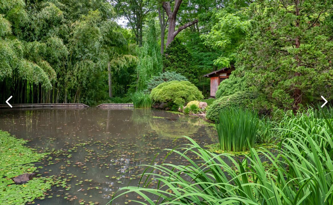 Photo of Outdoor in Laurel Hollow