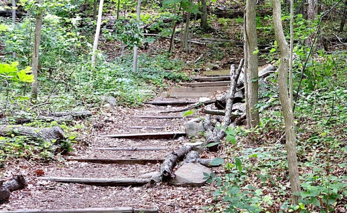 Photo of Outdoor in Laurel Hollow