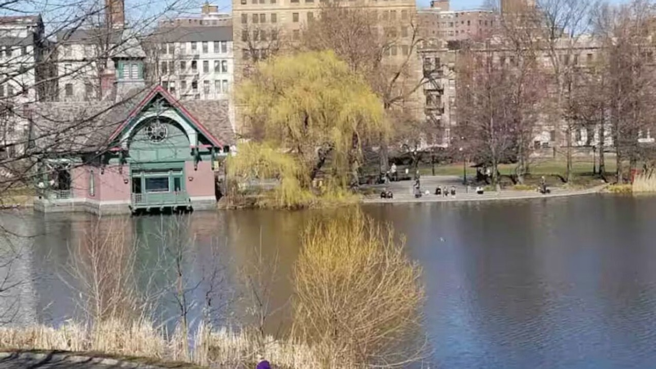 Photo of Others in Central Park North