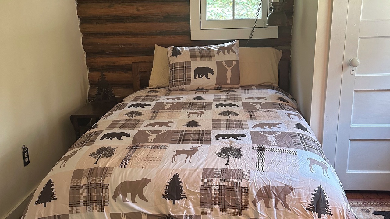 Photo of Bedroom in Olmstedville