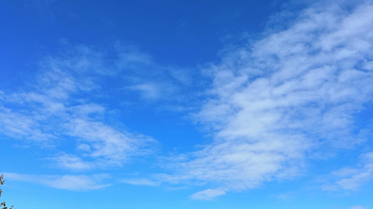 Photo of Outdoor in Olmstedville