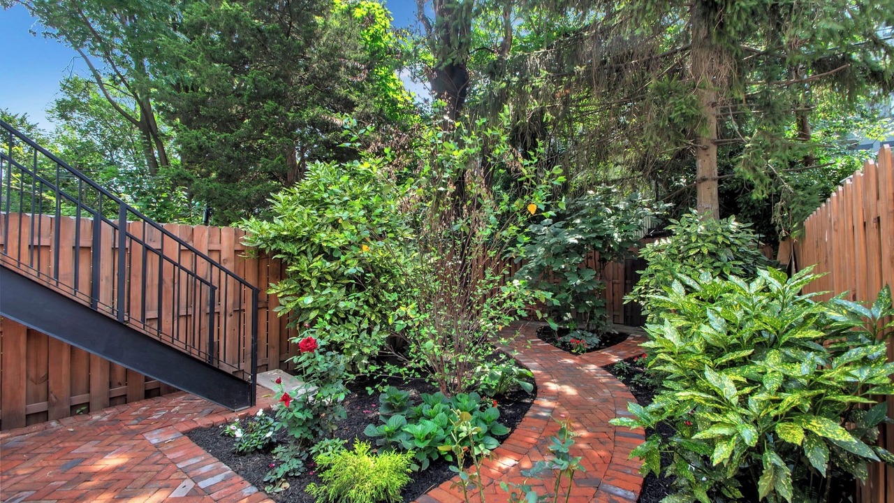 Photo of Outdoor in Bedford-Stuyvesant