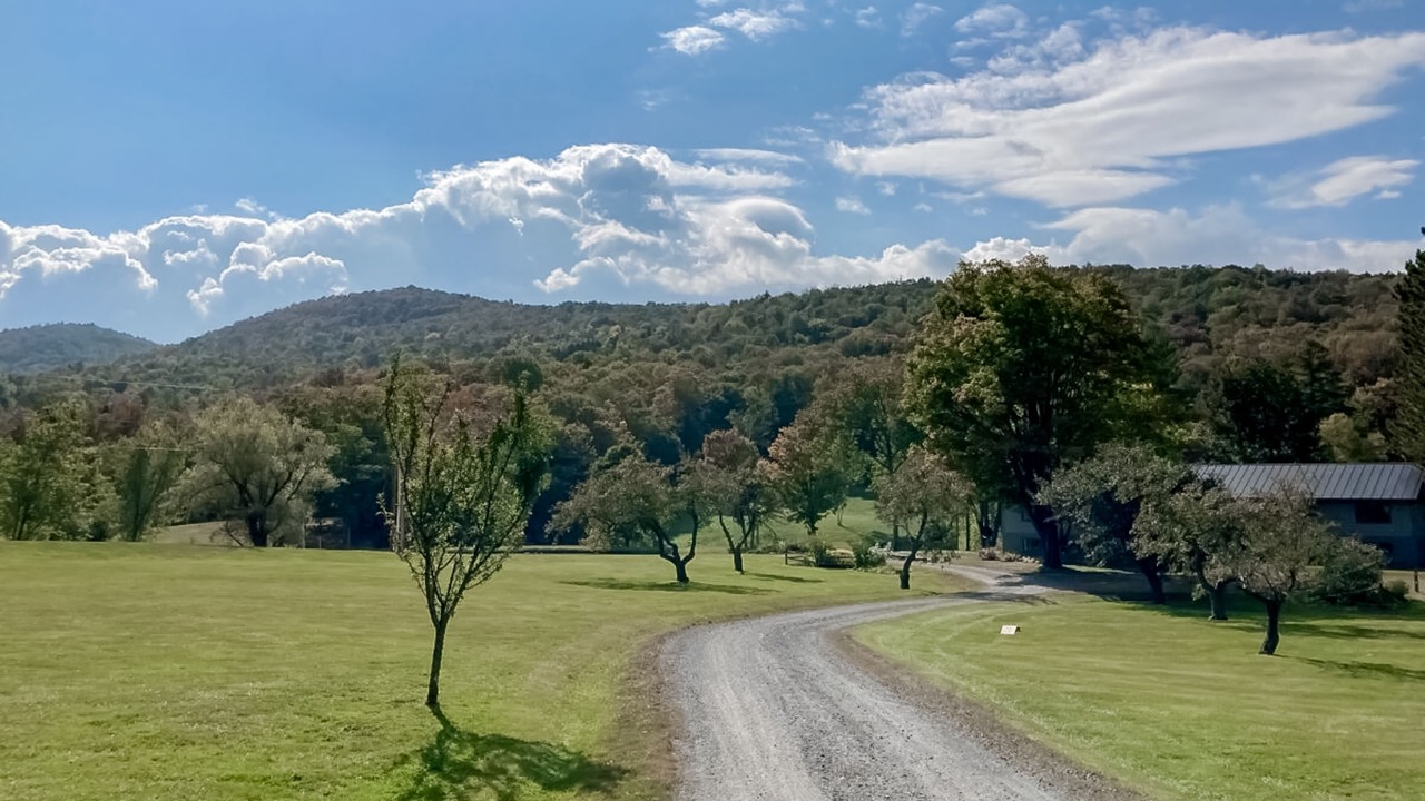 Photo of Outdoor in Woodstock