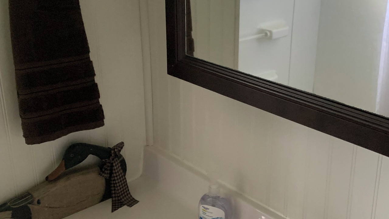 Photo of Bathroom in Pulaski