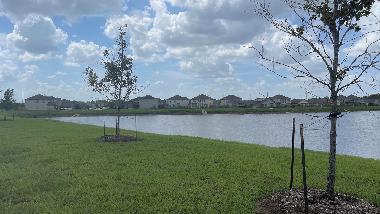 Photo of Outdoor in Iowa Colony